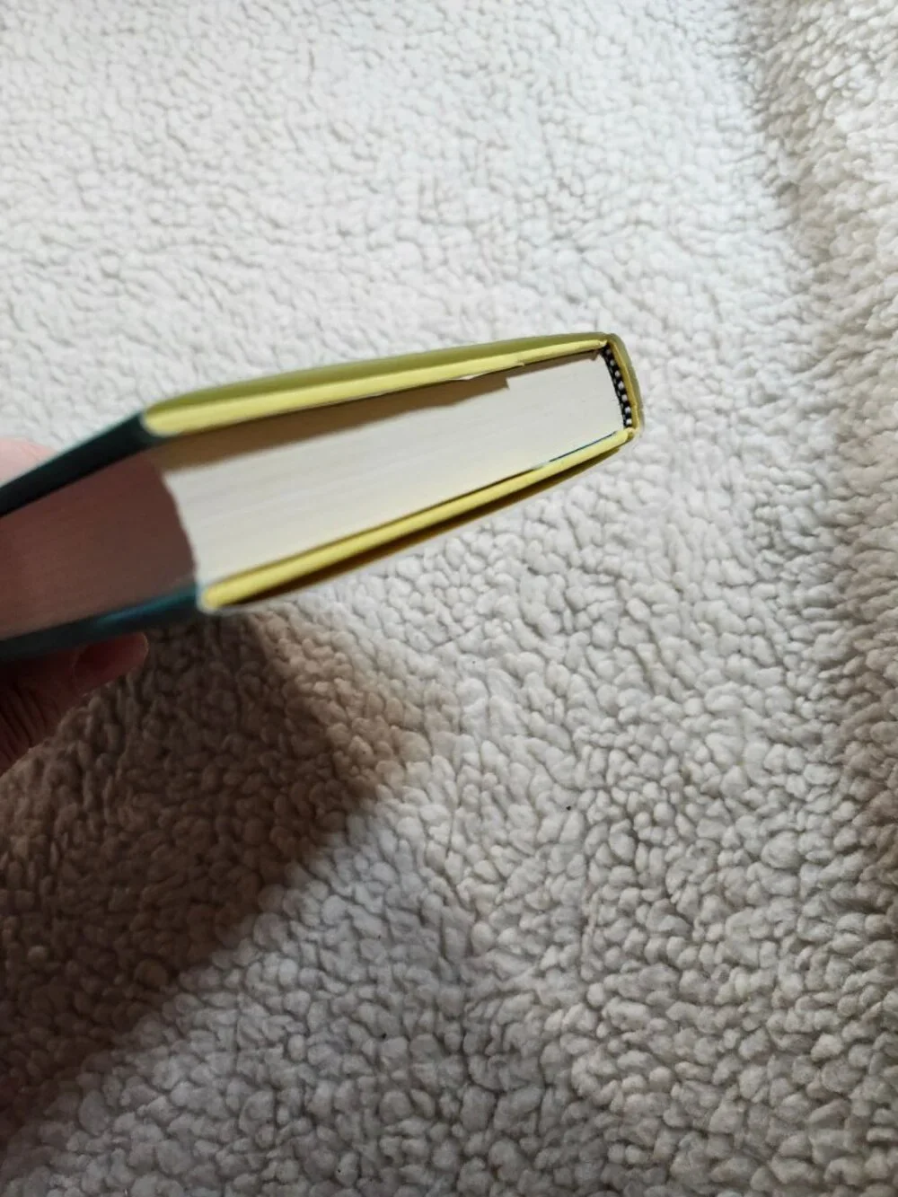 Sophie Kinsella Finding Audrey Hardcover 2015 Doubleday Canada Dust Jacket - Picture 10 of 14